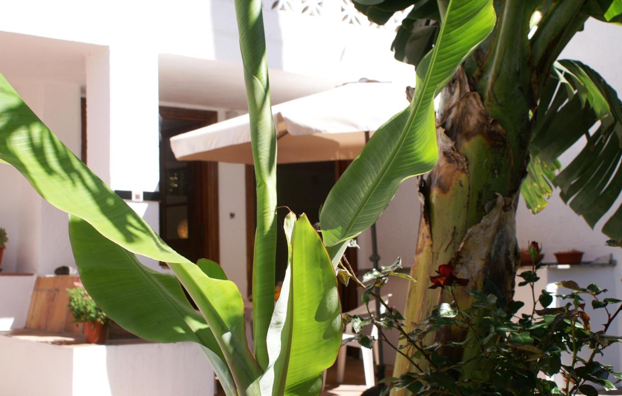 בית הארחה הרמיגואה 	Casa Creativa חדר תמונה